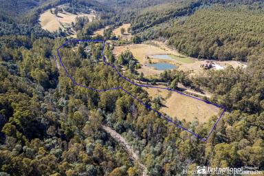 Farm Sold - TAS - Mountain River - 7109 - A Picture Perfect Mountain River Lifestyle Property  (Image 2)