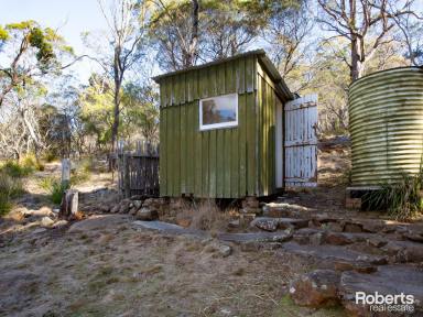 Farm For Sale - TAS - Deviot - 7275 - Looking for a Tree Change?  (Image 2)