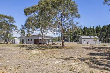 Farm For Sale - TAS - Dolphin Sands - 7190 - Beach close by  (Image 2)