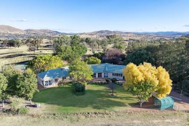 Farm For Sale - NSW - Springrange - 2618 - Weemala Valley: Elegance and tranquillity combined.  (Image 2)