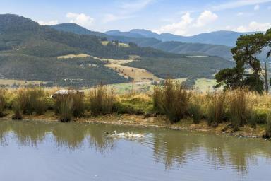 Farm For Sale - TAS - Glen Huon - 7109 - Spectacular lifestyle property with awe-inspiring views to match  (Image 2)