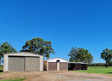 Farm For Sale - QLD - Granville - 4650 - Green Acres  (Image 2)