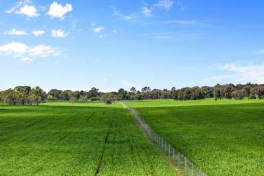 Farm Sold - NSW - Taralga - 2580 - Cloverdale Valley  (Image 2)