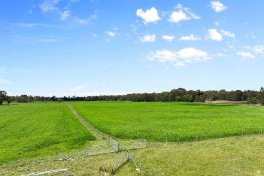 Farm For Sale - NSW - Taralga - 2580 - Productivity package without the huge price tag!  (Image 2)