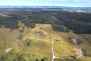 Farm For Sale - NSW - Goulburn - 2580 - Greener Pastures  (Image 2)