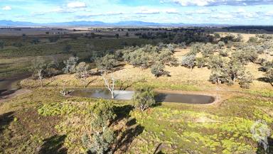 Farm For Sale - NSW - Narrabri - 2390 - OPPORTUNITY TO SECURE A BEAUTIFUL CROPPING AND GRAZING BLOCK  (Image 2)