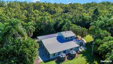 Farm For Sale - QLD - Isis River - 4660 - Your Own Private Resort!!  (Image 2)