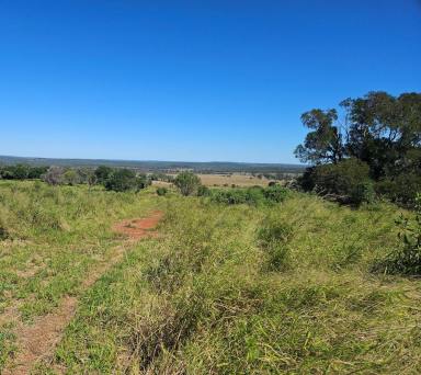 Farm For Sale - QLD - Mp Creek - 4606 - GREEN PANIC AND RED SOIL  (Image 2)