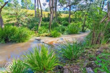 Farm For Sale - NSW - Belbora - 2422 - Live surrounded by Natures Splendour  (Image 2)