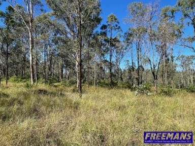 Farm For Sale - QLD - Nanango - 4615 - 7 Acres with Elevation.  (Image 2)
