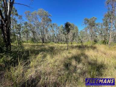 Farm Sold - QLD - Nanango - 4615 - 7 Acres with Elevation.  (Image 2)