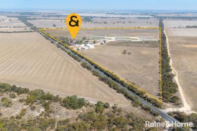 Farm For Sale - SA - Milang - 5256 - "Myrtle Grove" trading as "NINE MILE FREE RANGE EGGS" - 29.54 Hectares | 73 Acres  (Image 2)