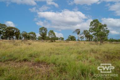 Farm For Sale - NSW - Deepwater - 2371 - Secluded Rural Paradise  (Image 2)