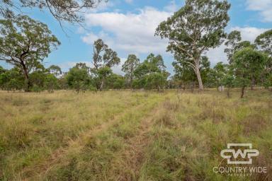 Farm For Sale - NSW - Deepwater - 2371 - Secluded Rural Paradise  (Image 2)