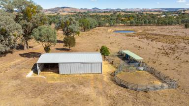 Farm For Sale - NSW - Mullengandra - 2644 - "MONTROSE" Lifestyle Opportunity - Excellent Access  (Image 2)