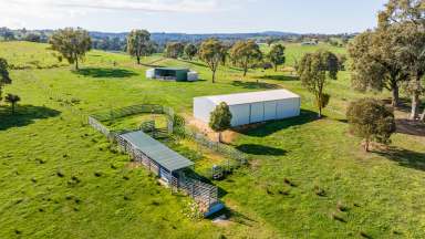 Farm For Sale - NSW - Mullengandra - 2644 - "MONTROSE" Lifestyle Opportunity - Excellent Access  (Image 2)