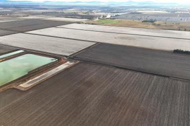 Farm For Sale - NSW - Gunnedah - 2380 - Blue Ribbon Liverpool Plains Irrigation  (Image 2)