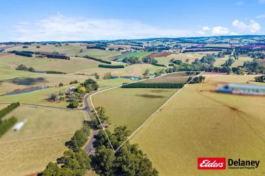 Farm Tender - VIC - Thorpdale - 3835 - Stake Your Claim - 37.5Acres a one off opportunity!  (Image 2)