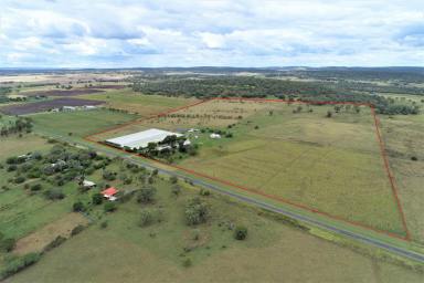 Farm For Sale - QLD - Linthorpe - 4356 - Yalara Hydrogardens
A unique Hydroponic Business, 30 years of trading with the one corporate entity.  (Image 2)