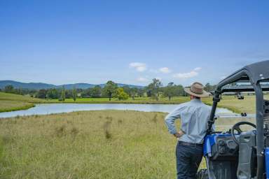 Farm Sold - NSW - Gloucester - 2422 - A Modern Take on Gloucester's Avon River Pastures  (Image 2)