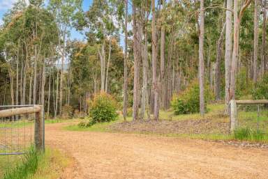 Farm For Sale - WA - Nannup - 6275 - 109 PRIVATE ACRES, SCENIC SETTING  (Image 2)