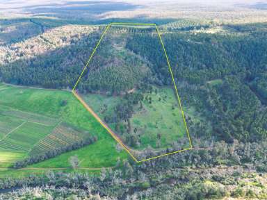 Farm For Sale - WA - Nannup - 6275 - 109 PRIVATE ACRES, SCENIC SETTING  (Image 2)