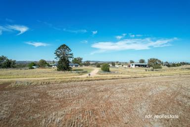Farm For Sale - NSW - Inverell - 2360 - PINDAROI STATION  (Image 2)