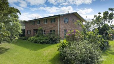 Farm For Sale - NSW - Mitchells Island - 2430 - Large Family Property with River Access  (Image 2)