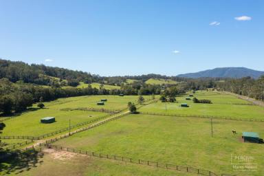 Farm Sold - NSW - Batar Creek - 2439 - Serene Lodge - Blue Ribbon Rural ( 81.186 ha / 203 acres )  (Image 2)