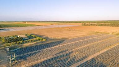 Farm For Sale - QLD - Alloway - 4670 - Premier Agricultural Holding in Alloway with Abundant Water Resources  (Image 2)