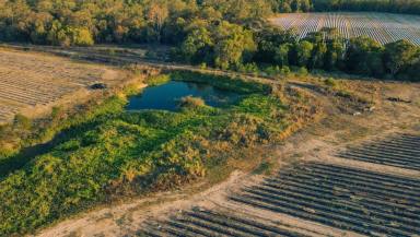 Farm For Sale - QLD - Alloway - 4670 - Premier Agricultural Holding in Alloway with Abundant Water Resources  (Image 2)