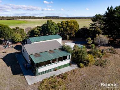 Farm For Sale - TAS - Lulworth - 7252 - Home, Shed, Three Acres, Close to the Beach!  (Image 2)