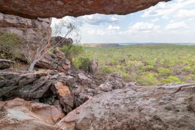 Farm For Sale - NT - Adelaide River - 0846 - NORTHERN TERRITORY CATTLE AND TOURISM OPPORTUNITY  (Image 2)