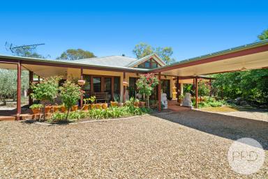 Farm Auction - NSW - Oura - 2650 - This is not just a home, Its a Retreat  (Image 2)