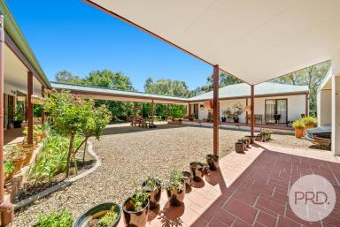 Farm Auction - NSW - Oura - 2650 - This is not just a home, Its a Retreat  (Image 2)