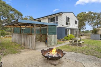 Farm For Sale - TAS - Dolphin Sands - 7190 - Perfect Airbnb or holiday retreat  (Image 2)