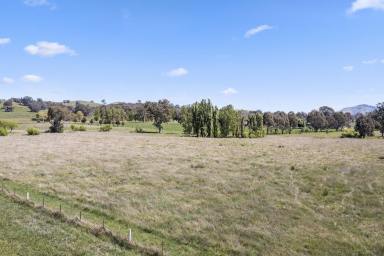 Farm For Sale - VIC - Mansfield - 3722 - 22 Acres on the Edge of Town  (Image 2)