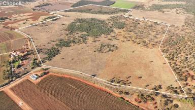 Farm For Sale - NSW - Murrami - 2705 - ELEVATED HOBBY BLOCK WITH DWELLING ENTITLEMENT (STCA)  (Image 2)
