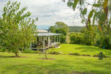 Farm For Sale - QLD - Black Snake - 4600 - A Cattleman's Paradise  (Image 2)