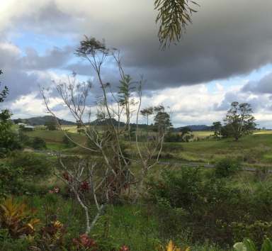 Farm For Sale - QLD - East Palmerston - 4860 - BEAUTIFUL CLAY-BLOCK HOME EAST PALMERSTON  (Image 2)