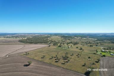 Farm For Sale - NSW - Delungra - 2403 - "ALLAWAH" - RURAL LIFESTYLE ON 28ACRES  (Image 2)