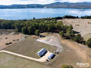 Farm For Sale - TAS - Gravelly Beach - 7276 - Modern Country Living on 16.4 Acres  (Image 2)