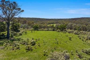 Farm For Sale - NSW - Canyonleigh - 2577 - Private Getaway  (Image 2)