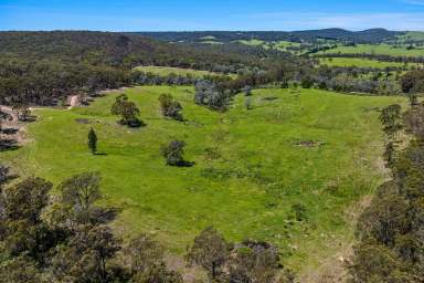 Farm For Sale - NSW - Canyonleigh - 2577 - Private Getaway  (Image 2)