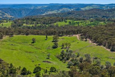 Farm For Sale - NSW - Canyonleigh - 2577 - Private Getaway  (Image 2)