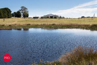 Farm For Sale - NSW - Bywong - 2621 - Bring the horses  (Image 2)