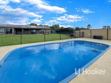 Farm For Sale - NSW - Inverell - 2360 - Acreage Living with Pool  (Image 2)
