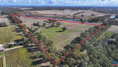 Farm Auction - VIC - Murchison - 3610 - Highly Productive Small Irrigation Property  (Image 2)