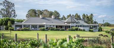 Farm For Sale - NSW - Pokolbin - 2320 - Vineyard Restaurant Tourism Winery: RIDGEVIEW ESTATE HUNTER VALLEY  (Image 2)