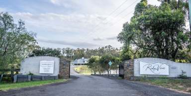 Farm For Sale - NSW - Pokolbin - 2320 - Vineyard Restaurant Tourism Winery: RIDGEVIEW ESTATE HUNTER VALLEY  (Image 2)